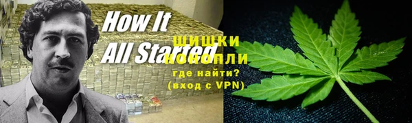 ALPHA PVP Кизел