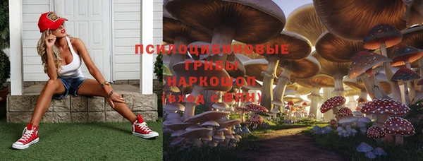 шишки Краснослободск