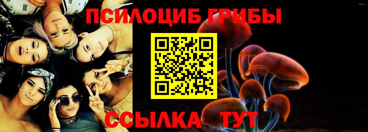 Псилоцибиновые грибы Cubensis  Вход с VPN  Малгобек 